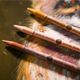 Pastel pen set 48-pack in the group Pens / Artist Pens / Pastel pencils at Pen Store (136580)