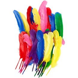 Feathers 36 pack in the group Hobby & Creativity / Holidays and seasons / Easter crafts at Pen Store (136979)