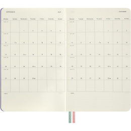 Planner 18M WeekNote Hard Cover Large Alice in Wonderland in the group Paper & Pads / Planners / 18-Month Planners at Pen Store (137025)