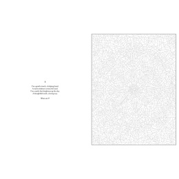 Mystery Coloring Mandalas in the group Hobby & Creativity / Books / Adult Coloring Books at Pen Store (137182)