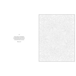 Mystery Coloring Mandalas in the group Hobby & Creativity / Books / Adult Coloring Books at Pen Store (137182)