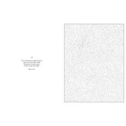 Mystery Coloring Wild Animals in the group Hobby & Creativity / Books / Adult Coloring Books at Pen Store (137183)