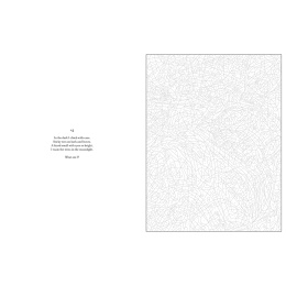 Mystery Coloring Wild Animals in the group Hobby & Creativity / Books / Adult Coloring Books at Pen Store (137183)