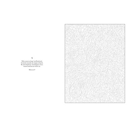 Mystery Coloring Wild Animals in the group Hobby & Creativity / Books / Adult Coloring Books at Pen Store (137183)