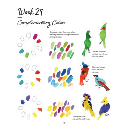 A Beginner's Year of Watercolor in the group Hobby & Creativity / Books / Art Instruction Books at Pen Store (137195)