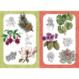 10 Step Drawing: Botanicals in the group Hobby & Creativity / Books / Art Instruction Books at Pen Store (137196)