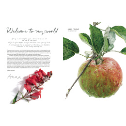 Anna Mason's Watercolour World in the group Hobby & Creativity / Books / Inspirational Books at Pen Store (137202)