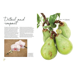 Anna Mason's Watercolour World in the group Hobby & Creativity / Books / Inspirational Books at Pen Store (137202)