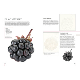 Anna Mason's Watercolour World in the group Hobby & Creativity / Books / Inspirational Books at Pen Store (137202)