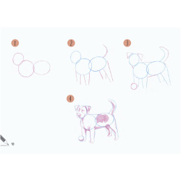 Draw 30: Animals in the group Hobby & Creativity / Books / Art Instruction Books at Pen Store (137210)