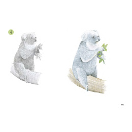 Draw 30: Animals in the group Hobby & Creativity / Books / Art Instruction Books at Pen Store (137210)