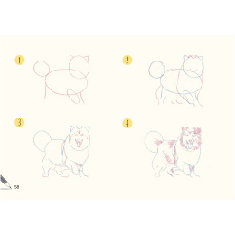 Draw 30: Dogs in the group Hobby & Creativity / Books / Art Instruction Books at Pen Store (137213)
