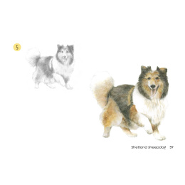Draw 30: Dogs in the group Hobby & Creativity / Books / Art Instruction Books at Pen Store (137213)