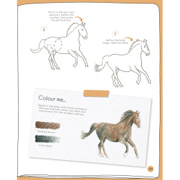 Draw in 10 Minutes: Animals in the group Hobby & Creativity / Books / Art Instruction Books at Pen Store (137218)