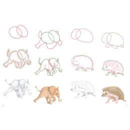 How to Draw: Baby Animals in the group Hobby & Creativity / Books / Art Instruction Books at Pen Store (137223)