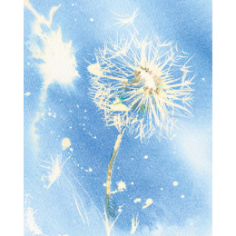 Loose and Lively Flowers in Watercolour, Inks & Mixed Media in the group Hobby & Creativity / Books / Inspirational Books at Pen Store (137226)