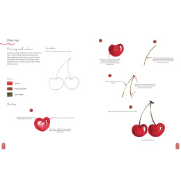 Paint 50: Watercolour Nature in the group Hobby & Creativity / Books / Art Instruction Books at Pen Store (137229)