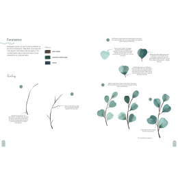 Paint 50: Watercolour Nature in the group Hobby & Creativity / Books / Art Instruction Books at Pen Store (137229)