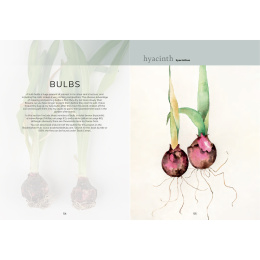 The Colour Mixing Guide: Watercolour Botanicals in the group Hobby & Creativity / Books / Inspirational Books at Pen Store (137234)