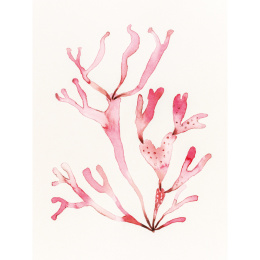 The Colour Mixing Guide: Watercolour Seashore in the group Hobby & Creativity / Books / Inspirational Books at Pen Store (137235)