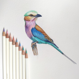 Irojiten coloured pencils, set of 36 in the group Pens / Artist Pens / Coloured Pencils at Pen Store (137566)