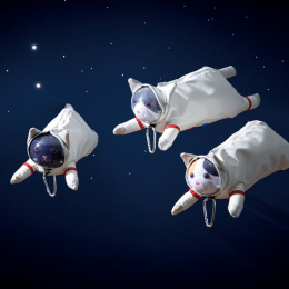 Pencil case Astro Cat Mikeco in the group Pens / Pen Accessories / Pencil Cases at Pen Store (137909)