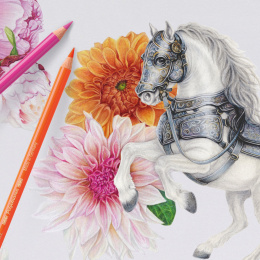 Colouring pencils Polychromos 140-set  in the group Pens / Artist Pens / Coloured Pencils at Pen Store (137959)
