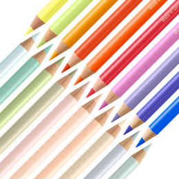 Colouring pencils Polychromos 20-set  in the group Pens / Artist Pens / Coloured Pencils at Pen Store (137960)
