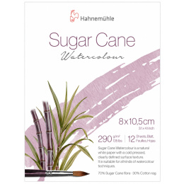 Water Colour Pad Sugar Cane 290g 8x10,5 cm in the group Paper & Pads / Artist Pads & Paper / Watercolour Pads at Pen Store (138053)